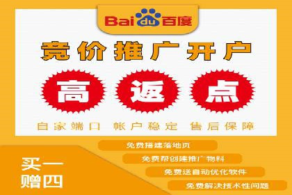百度推广运营成功故事：品牌与效果的双重胜利